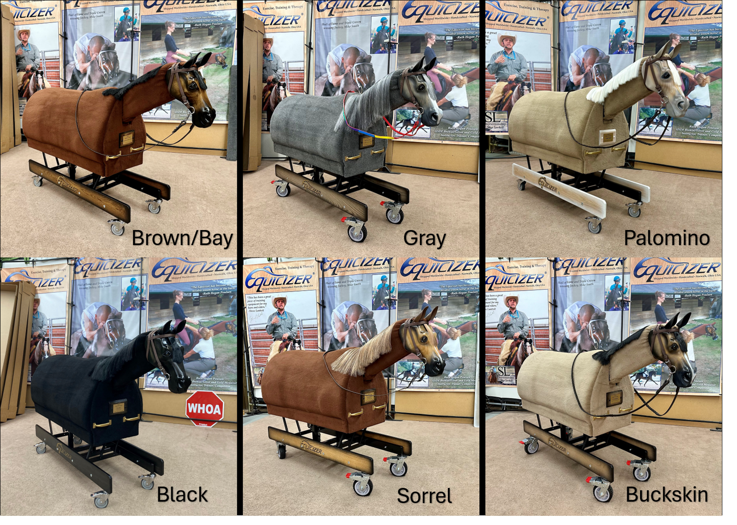Equicizer Elite