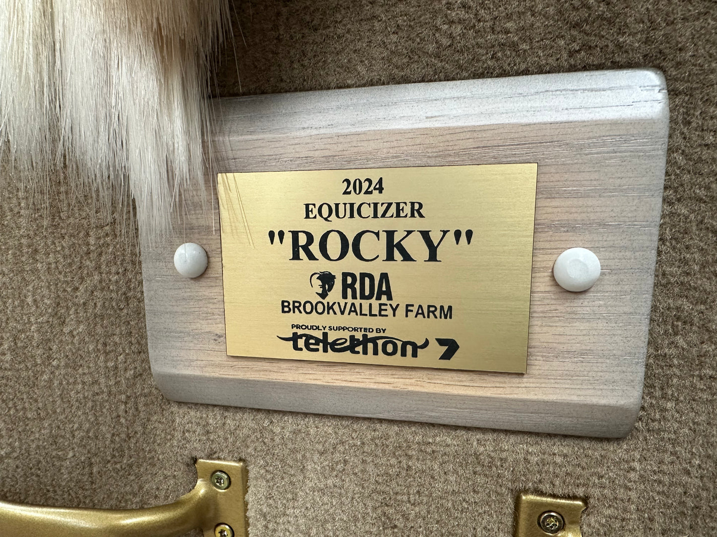Equicizer - Engraved Name Plates