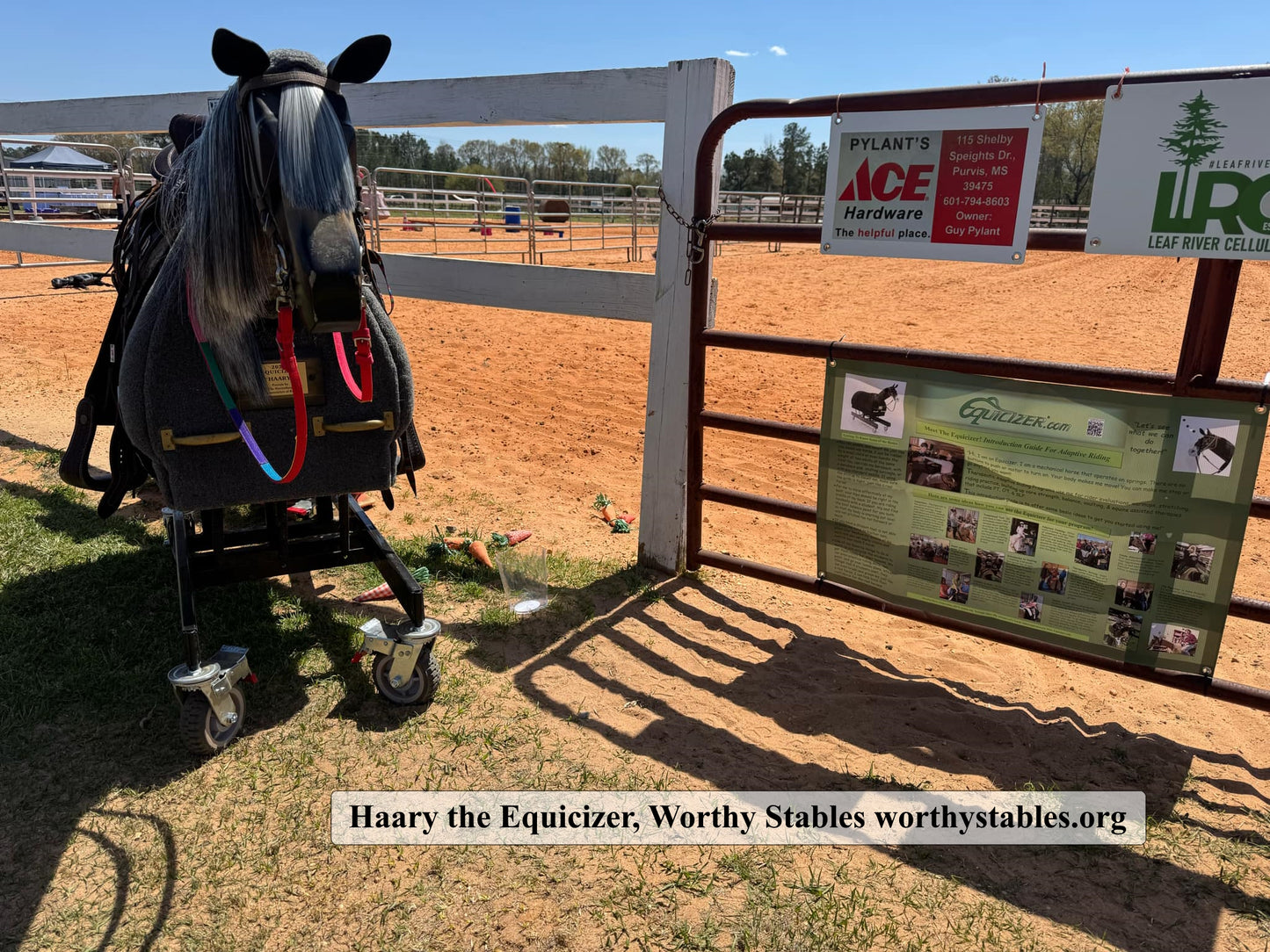 Equicizer Adaptive Riding Banner