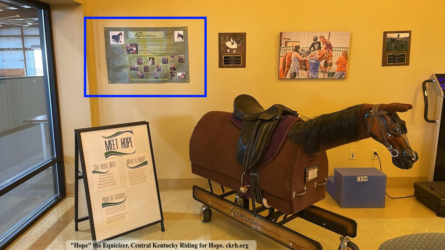 Equicizer Adaptive Riding Banner