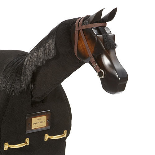 Equicizer Classic