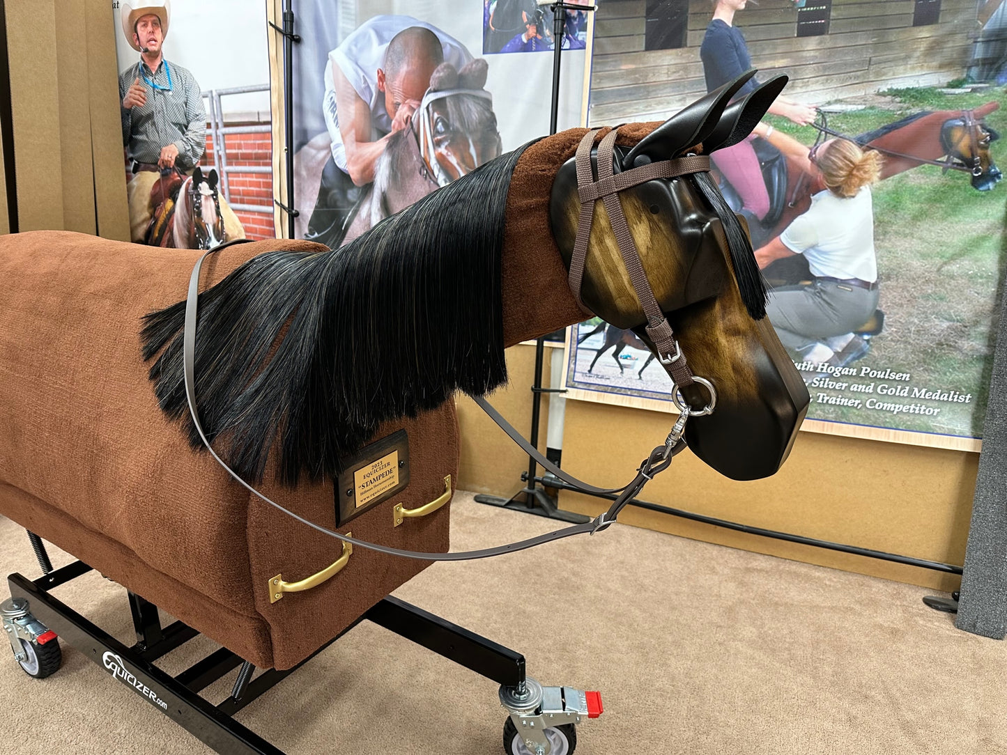 Equicizer Classic