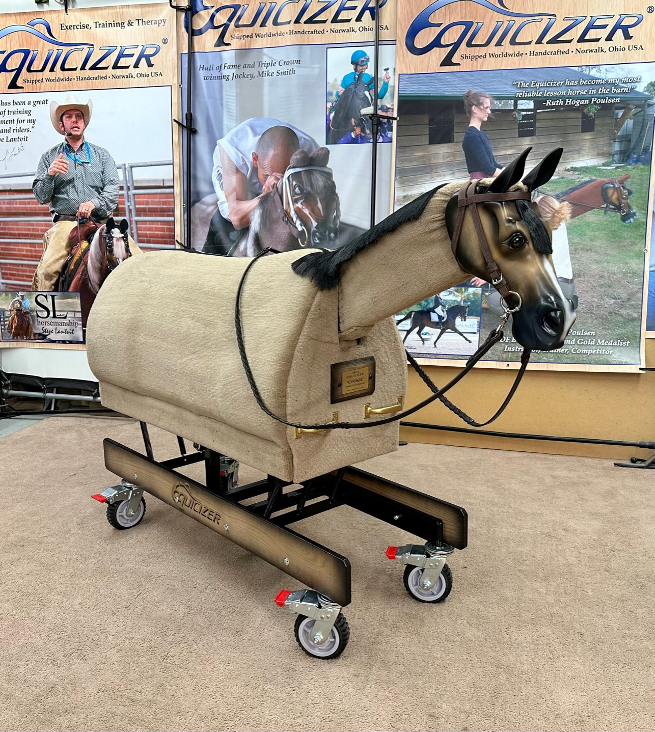 Equicizer Elite