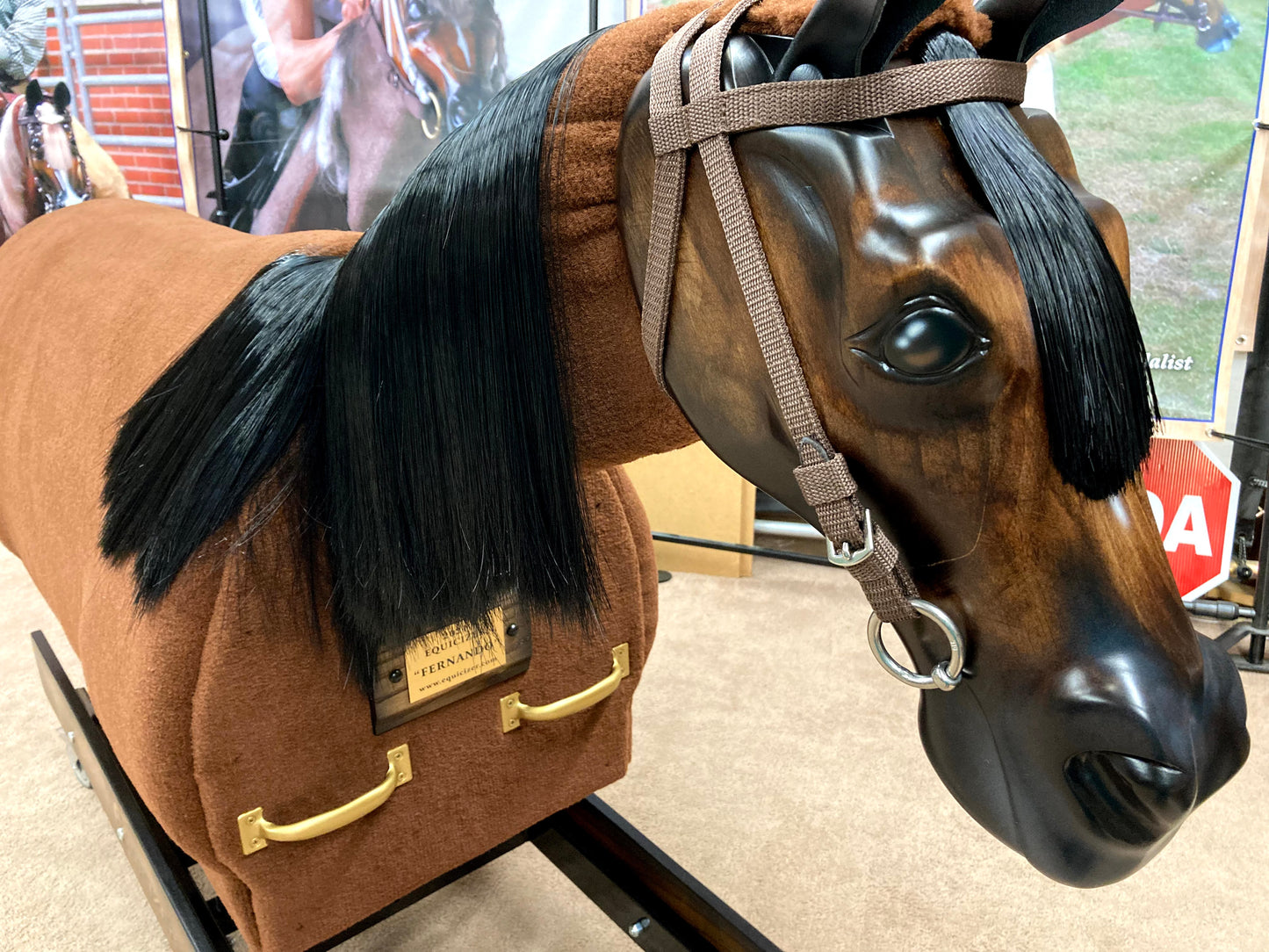 Equicizer Elite