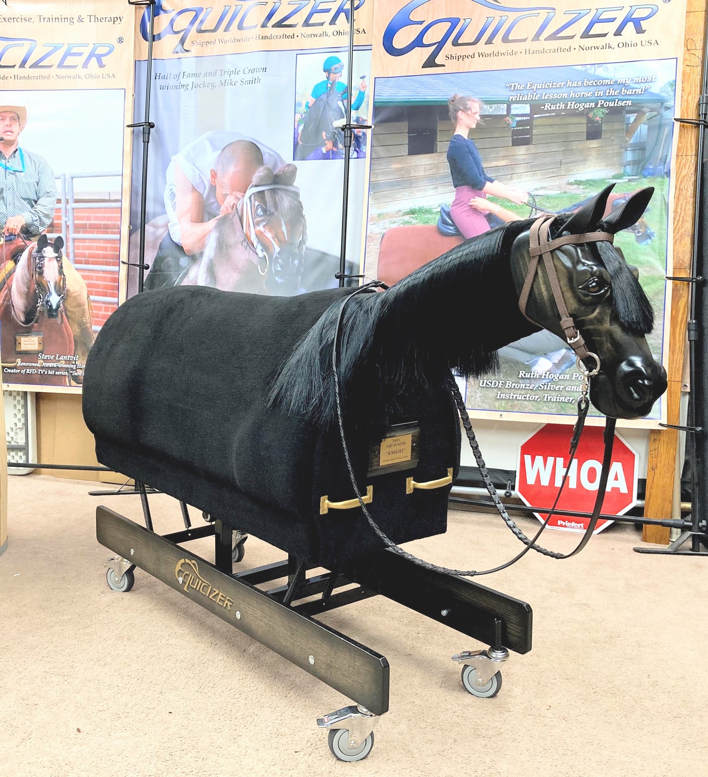 Equicizer Elite