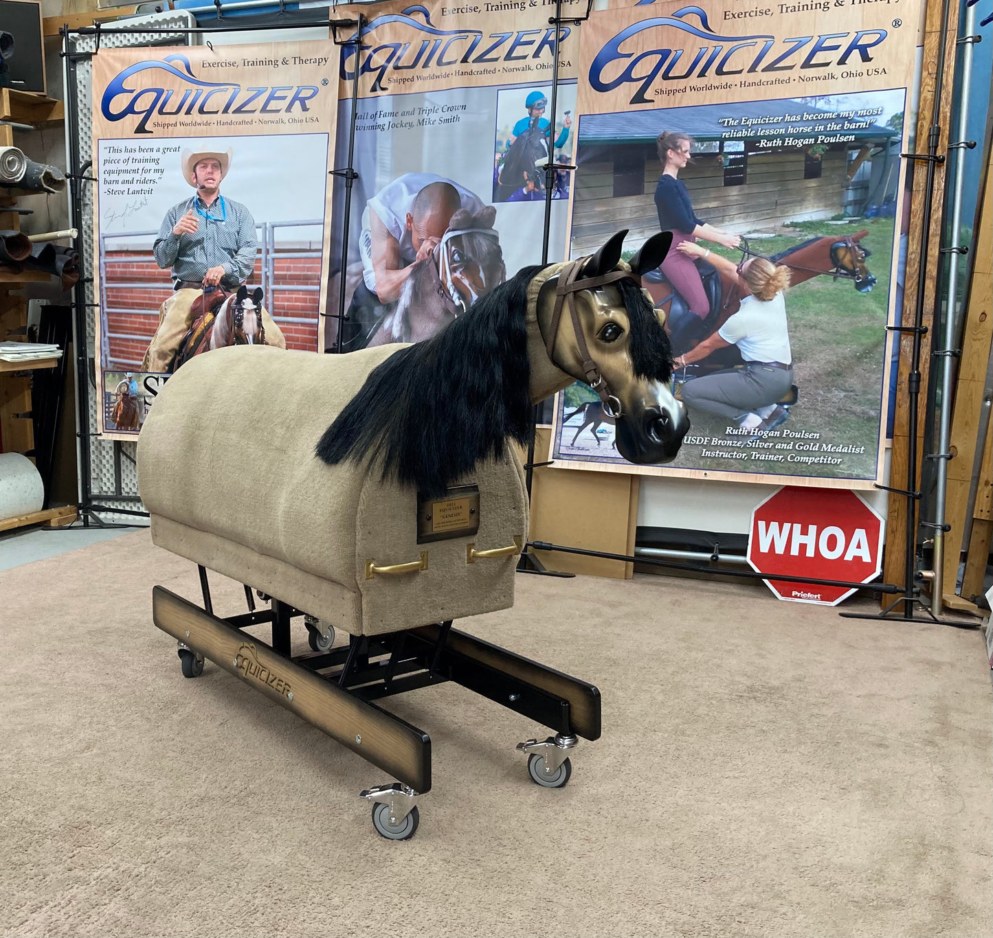 Equicizer Elite