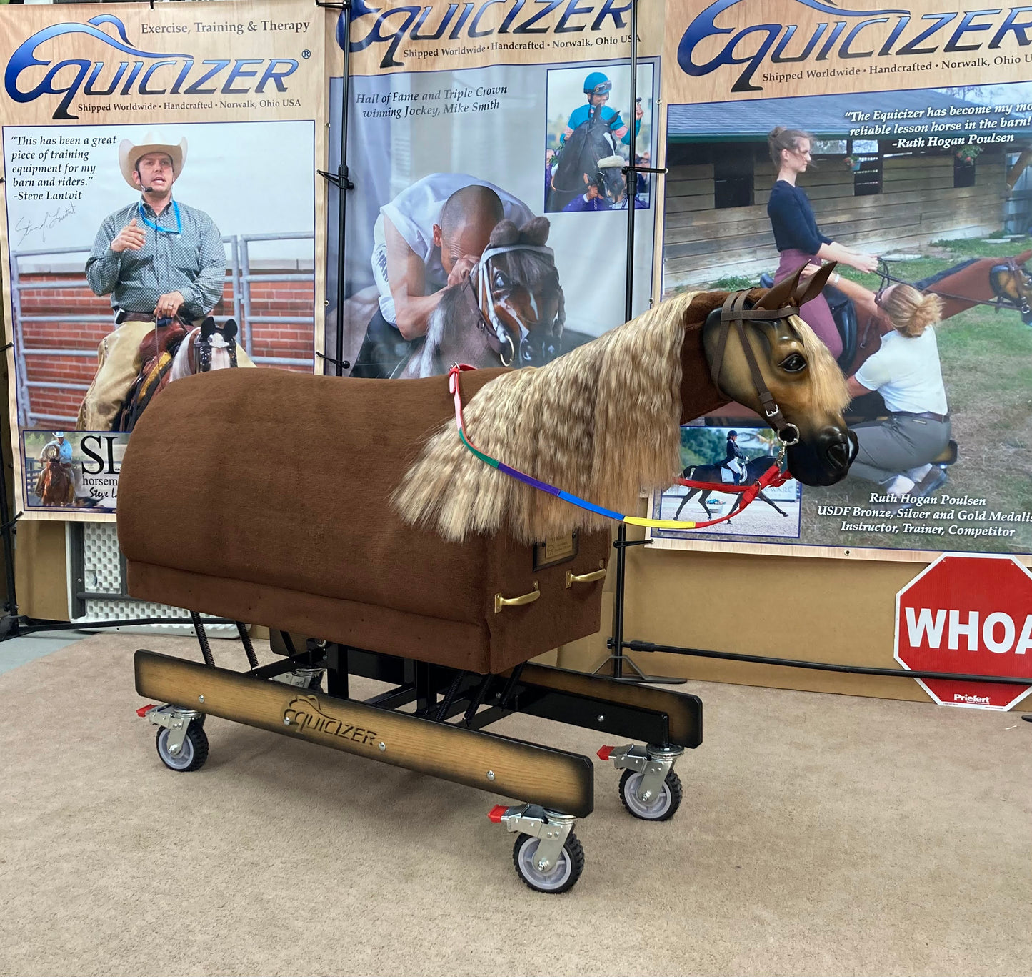 Equicizer Elite