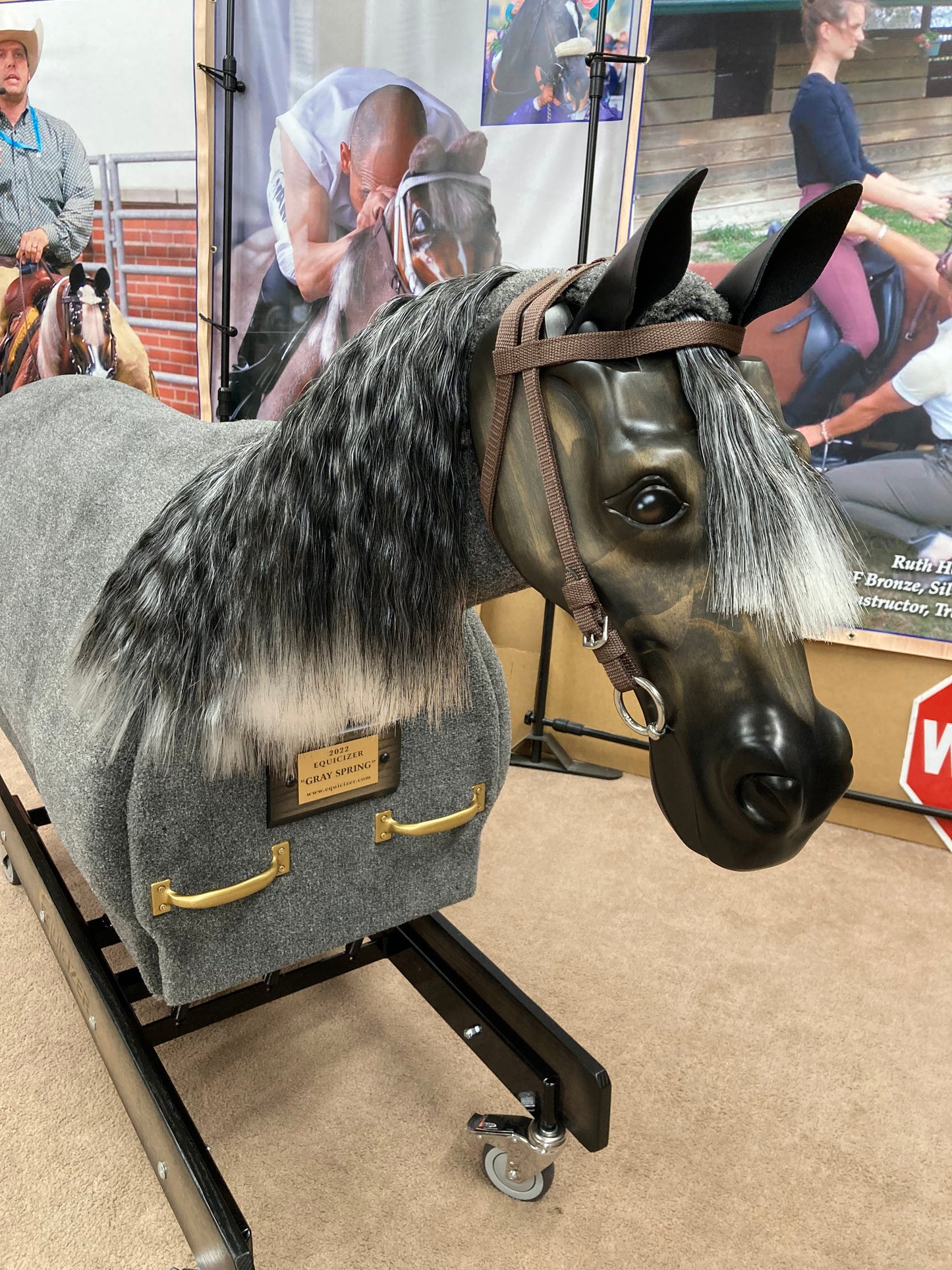 Equicizer Elite