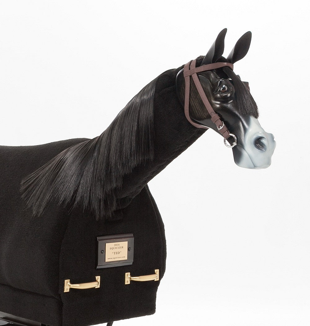 Equicizer Elite
