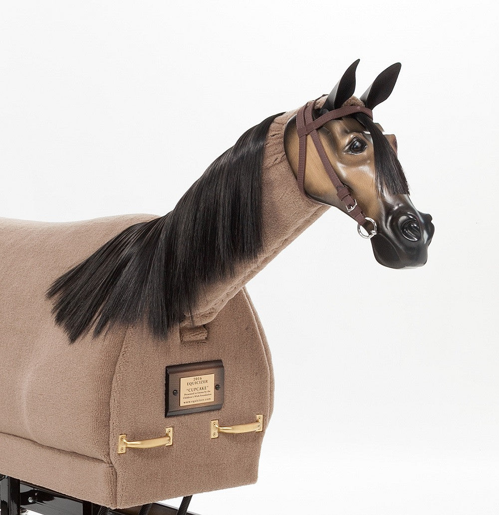Equicizer Elite