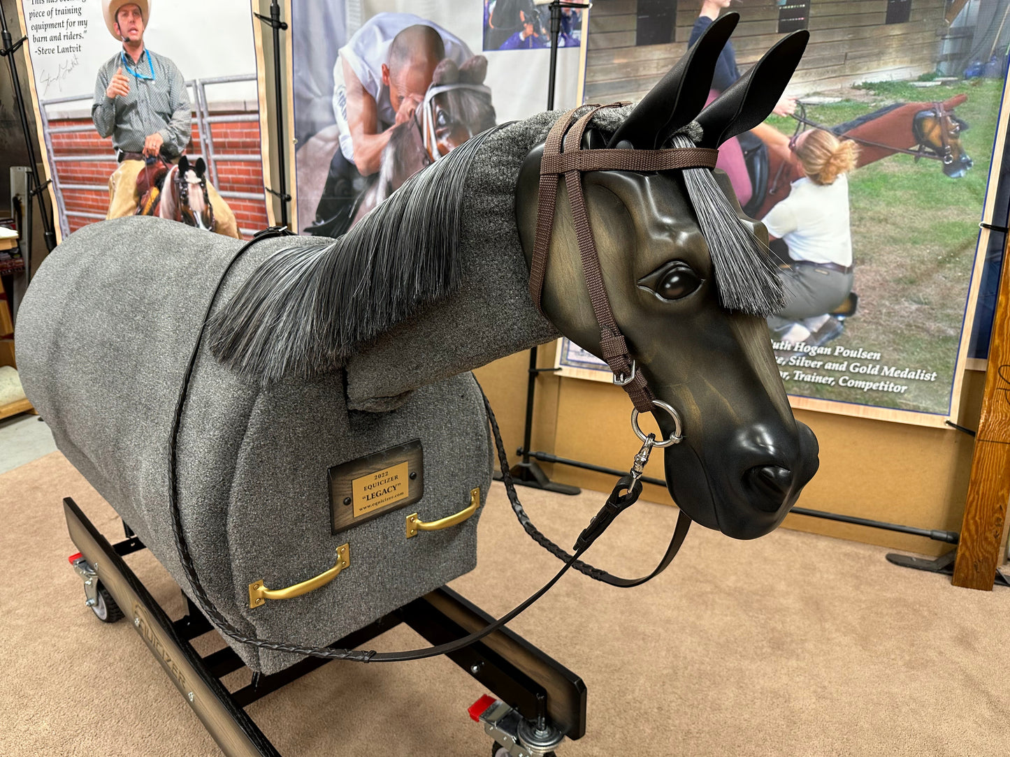 Equicizer Elite