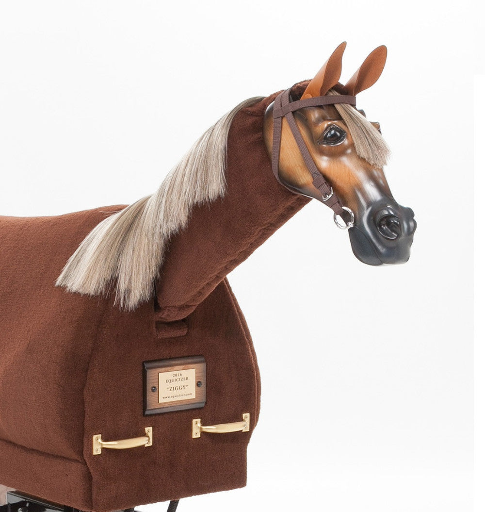 Equicizer Elite
