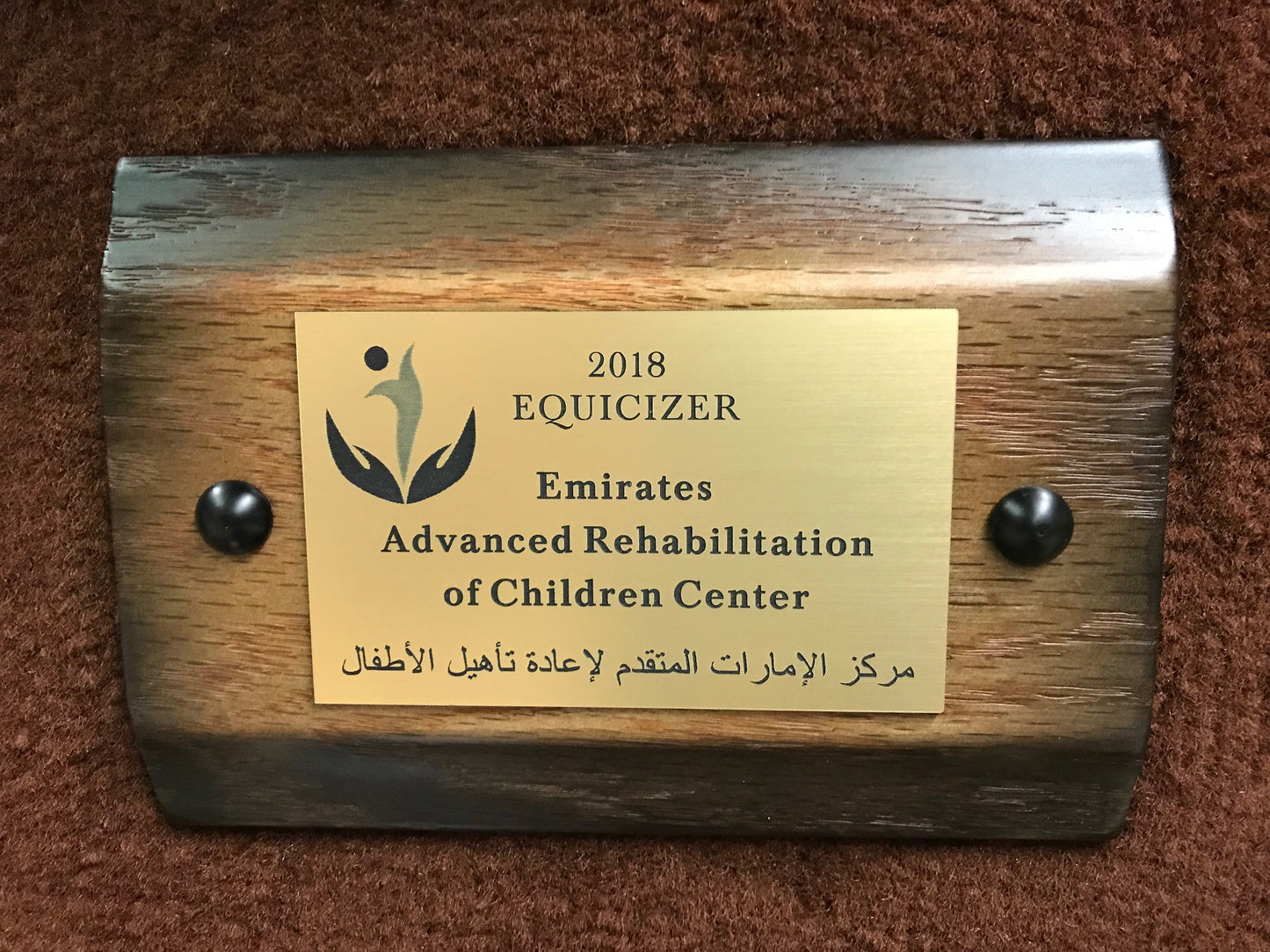 Equicizer - Engraved Name Plates