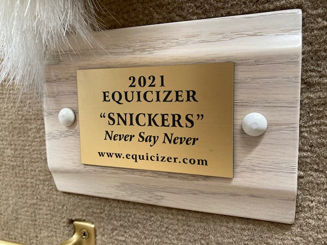 Equicizer - Engraved Name Plates