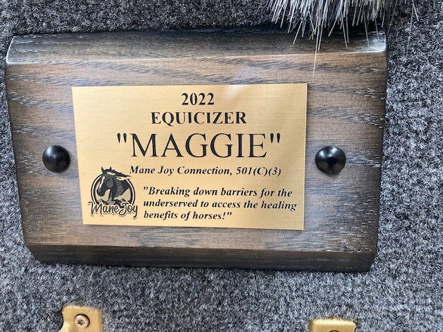 Equicizer - Engraved Name Plates