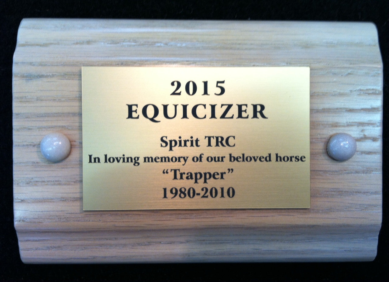Equicizer - Engraved Name Plates