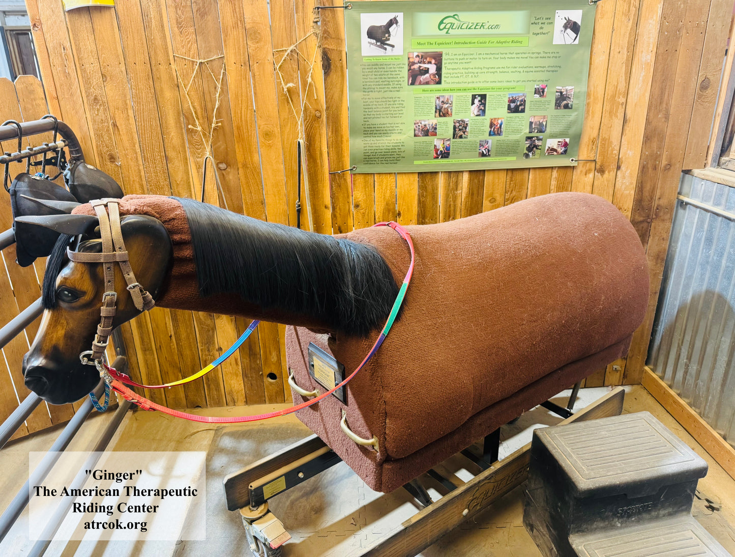 Equicizer Adaptive Riding Banner