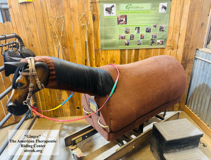 Equicizer Adaptive Riding Banner