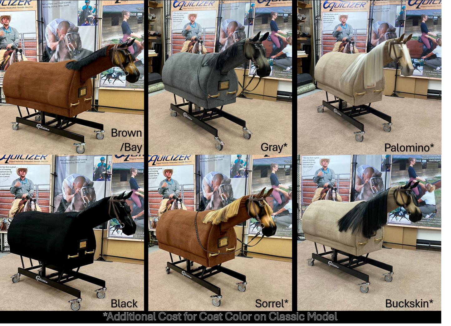 Equicizer Classic (Copy)
