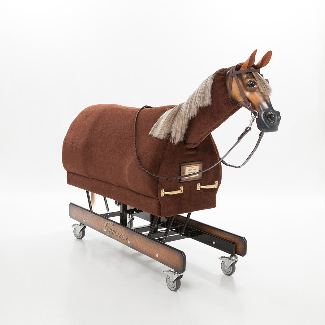 $500 Equicizer Fast Track Service