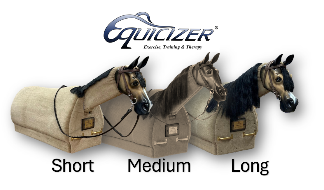 Equicizer Elite