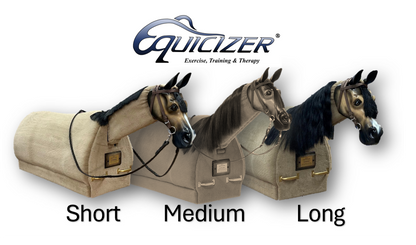 Equicizer Classic