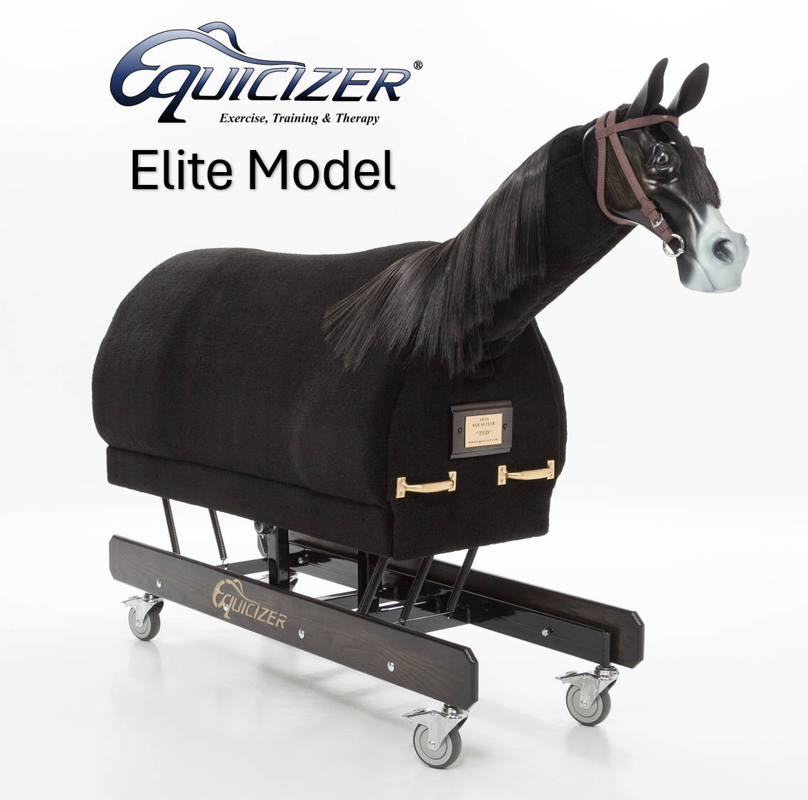 Equicizer Elite