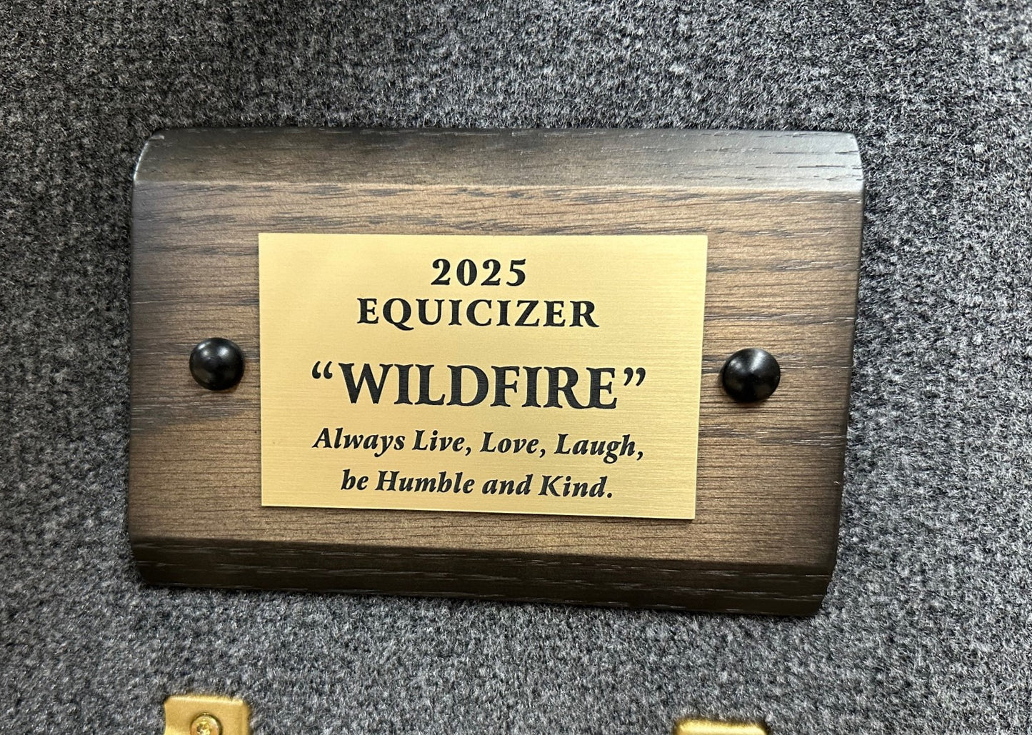 Equicizer - Engraved Name Plates