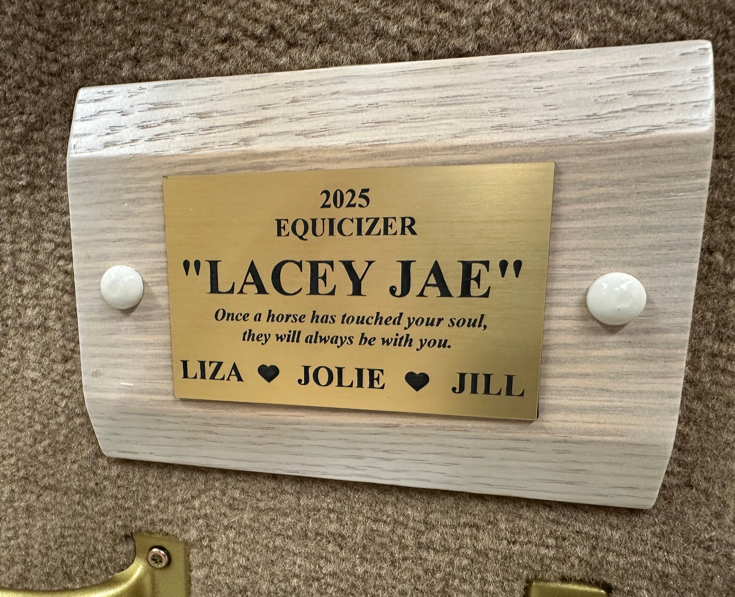 Equicizer - Engraved Name Plates