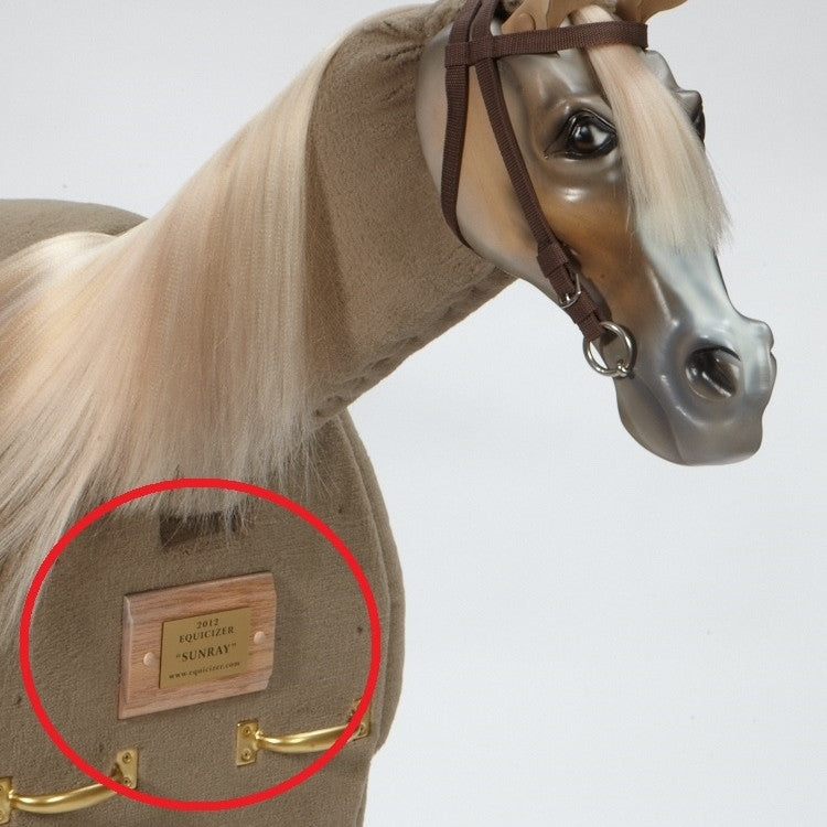 Equicizer - Engraved Name Plates