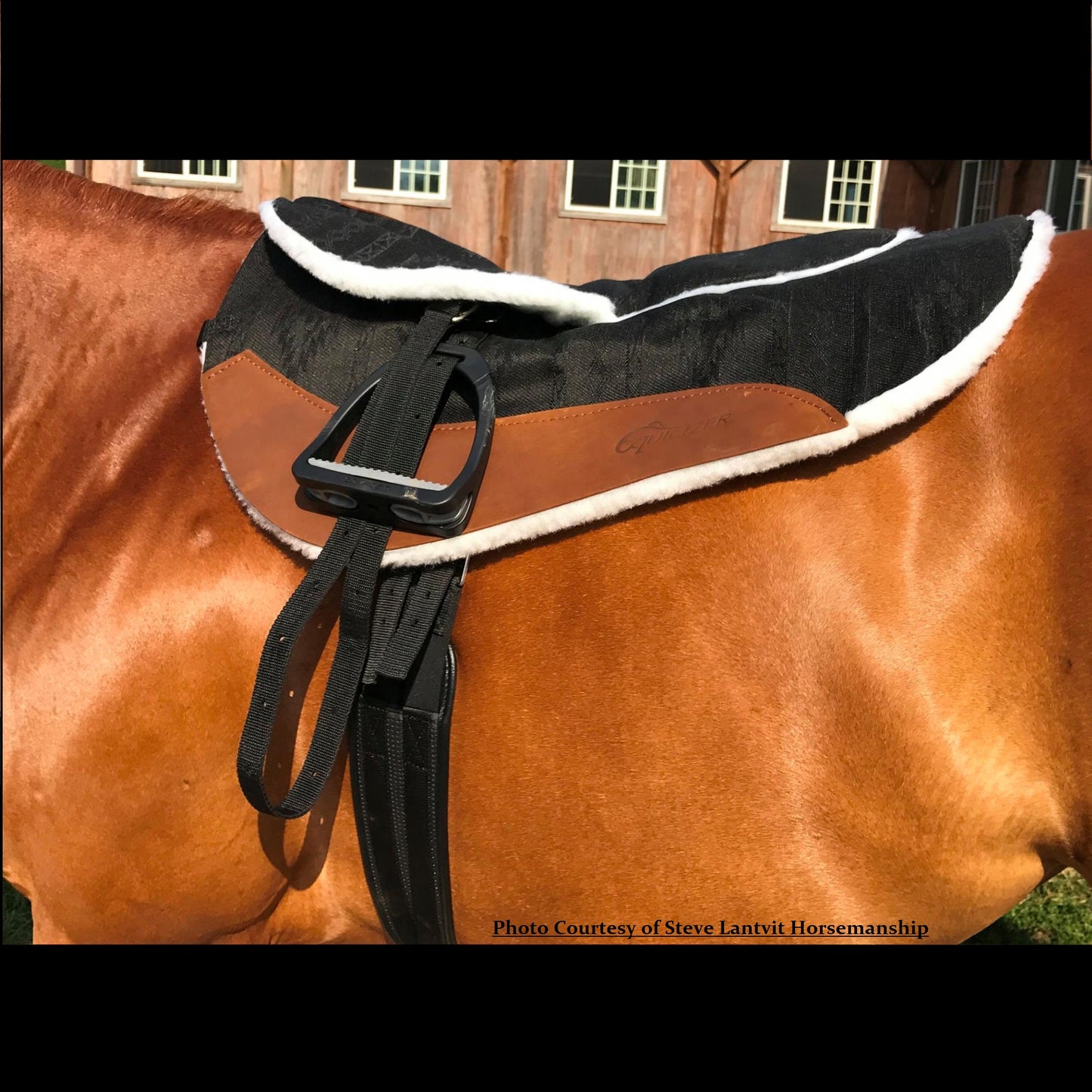 All Purpose 'Bareback' Riding Pad